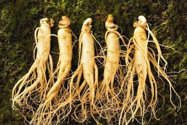 什么季节补锌效果最好(补锌的季节)-硒宝网