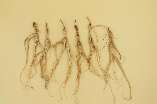 什么季节补锌效果最好(补锌的季节)-硒宝网