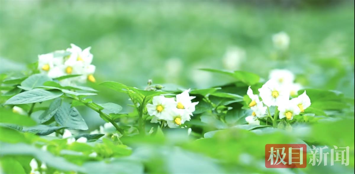 硒之缘农产品（硒源农业科技有限公司）-硒宝网