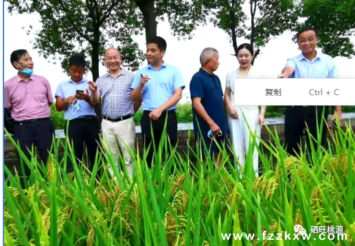 亲硒元农产品（亲硒元怎么样）-硒宝网