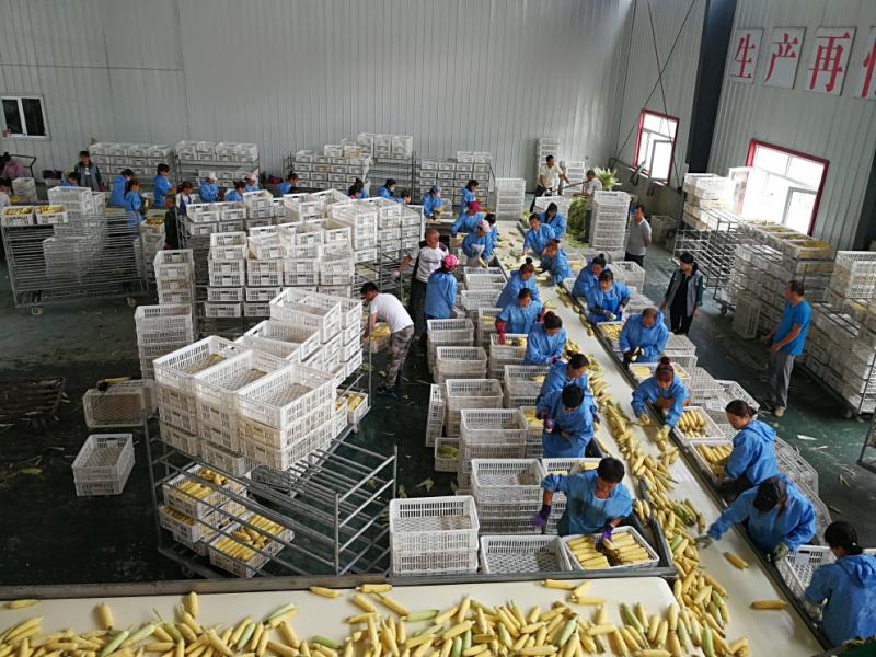 轩哥硒农产品（轩谷农业是真的吗）-硒宝网