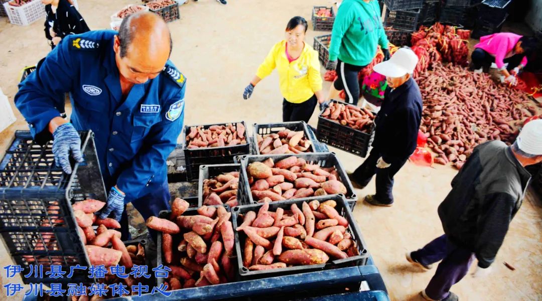 农硒一号产品（硒在农业的作用）-硒宝网