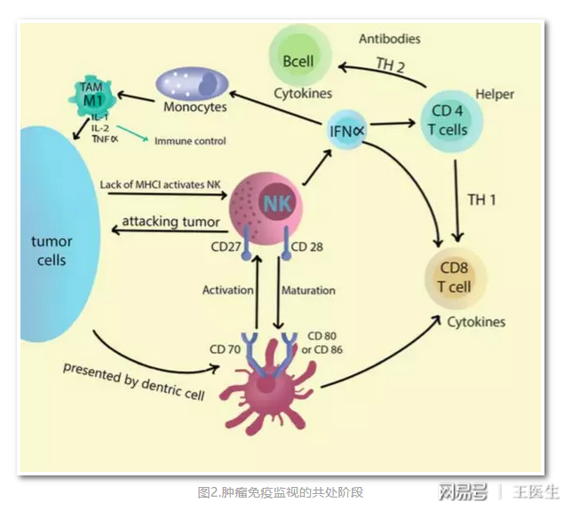 硒维康的好处（硒维康怎么样）-硒宝网