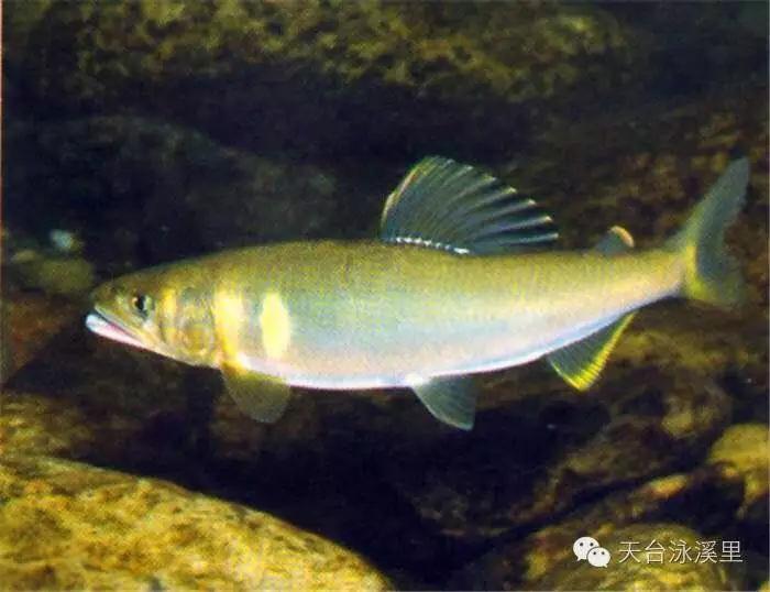 硒之缘农产品(硒缘山庄)-硒宝网