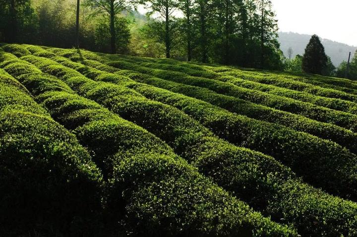 硒之缘农产品(硒缘山庄)-硒宝网