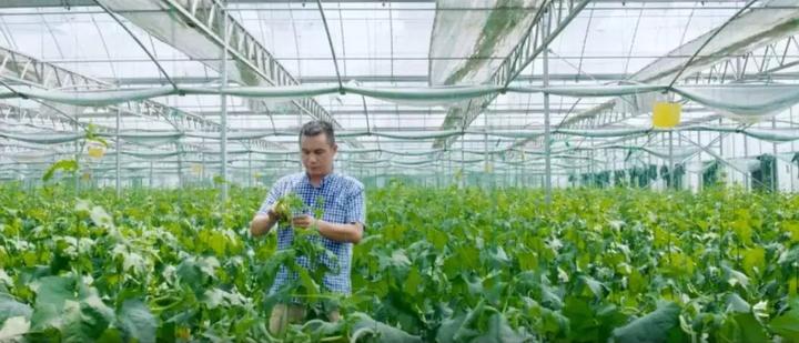 硒之缘农产品(硒缘山庄)-硒宝网