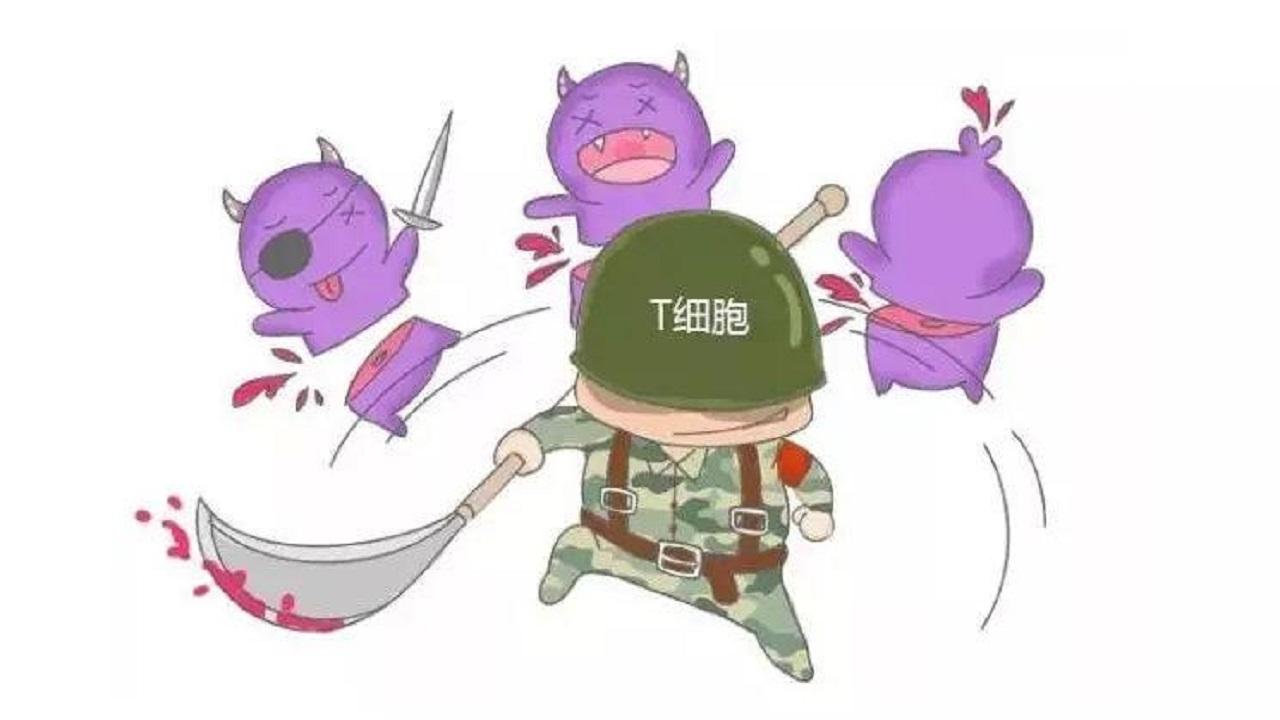 补锌能提高记忆力吗（记忆力减退补锌有用吗）-硒宝网