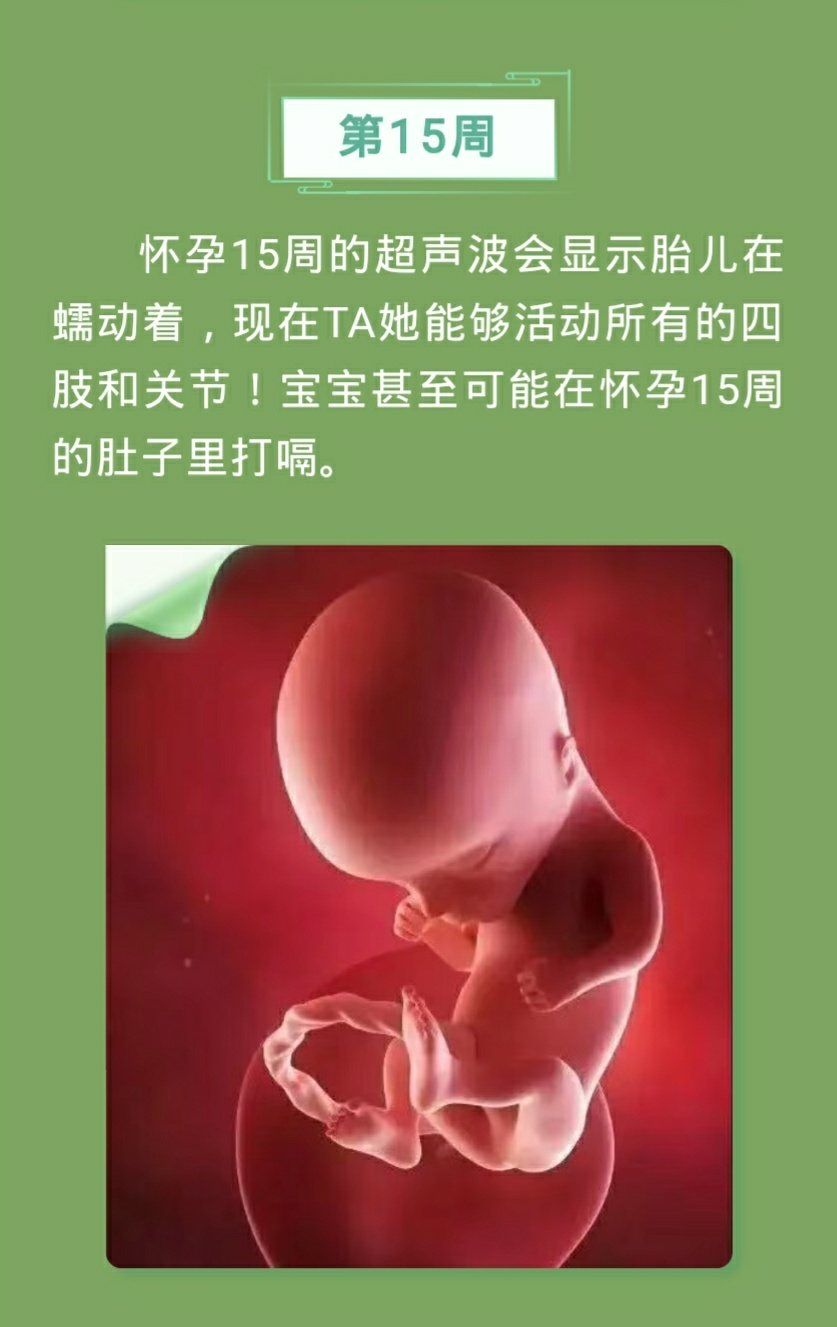 孕妇补锌到几个月停止（孕妇锌一直补不上去）-硒宝网