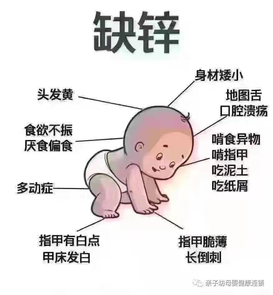 喜贝利锌硒宝（喜倍力锌硒宝）-硒宝网