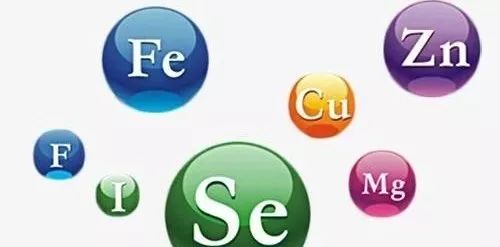 牡蛎 锌硒宝（锌硒宝和牡蛎片哪个好）-硒宝网