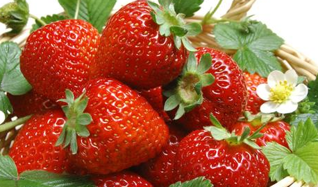 婴儿补铁吃什么食物好(婴儿食物吃好补铁吃什么)-硒宝网