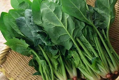 婴儿补铁吃什么食物好(婴儿食物吃好补铁吃什么)-硒宝网