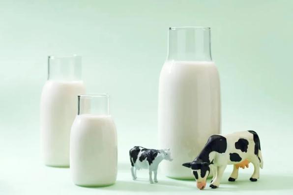 鸡蛋补钙效果好吗（效果鸡蛋补钙好吗）-硒宝网