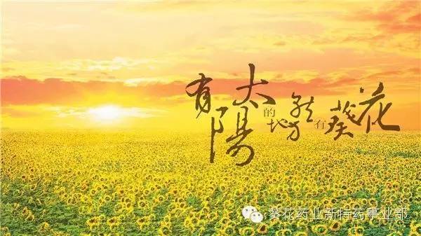 锌硒宝 中毒(锌硒宝服用过量怎么办)-硒宝网