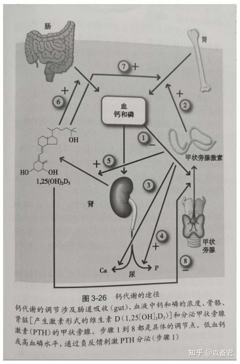 锌硒宝 乙肝(硒乙肝)-硒宝网
