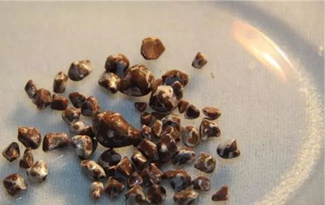 宝宝几个月补钙（宝宝补钙的最佳月龄是几月）-硒宝网