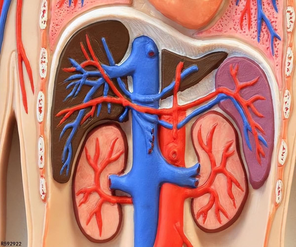 锌硒宝对手淫(锌硒宝能提高性生活吗)-硒宝网