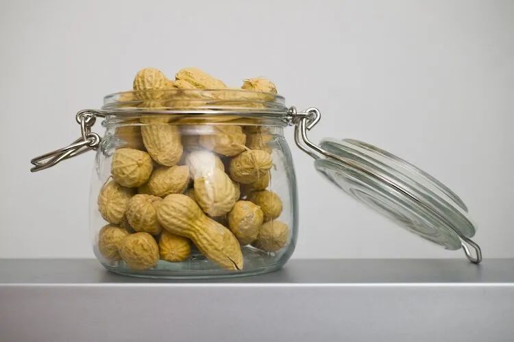 花生补铁吗(花生补铁用什么肥料)-硒宝网