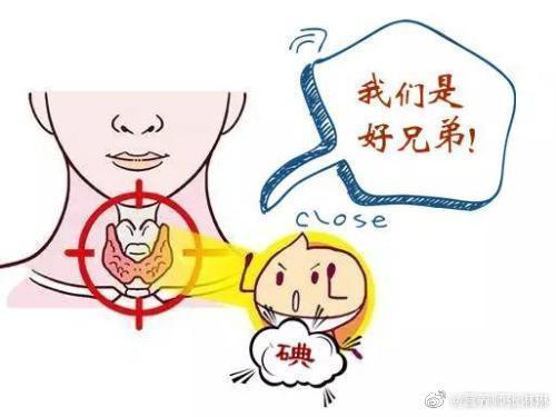 甲减需要补碘吗(甲减补碘吗)-硒宝网