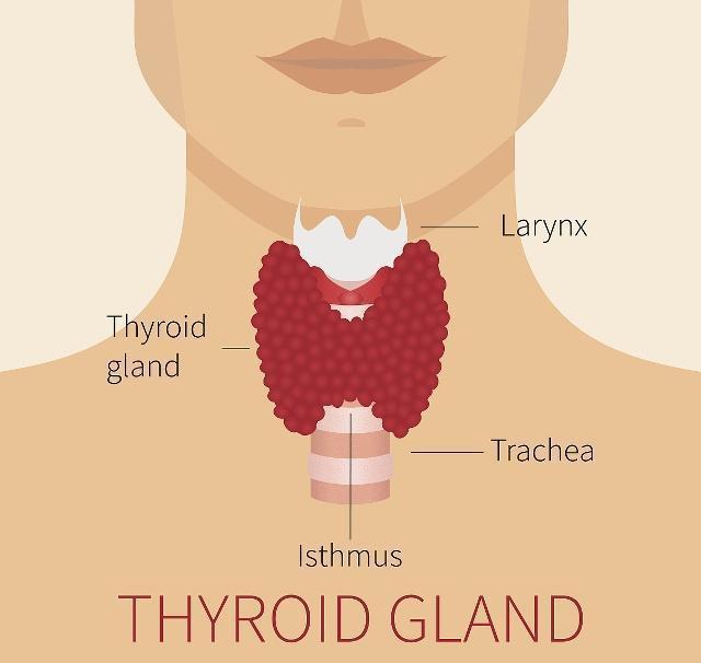 甲减需要补碘吗（需要甲减补碘吃什么药）-硒宝网