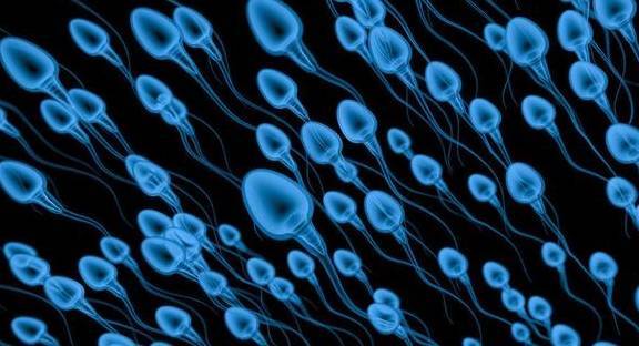 锌硒宝孕妇吃(怀孕锌硒宝片有什么功效)-硒宝网