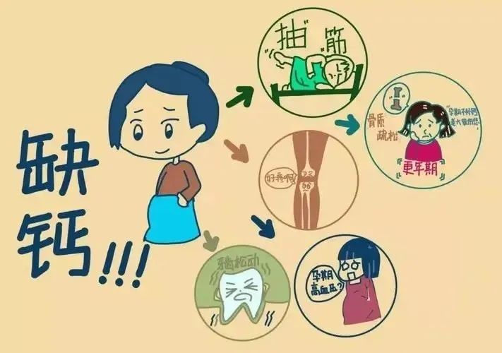 产后需要补铁吗(产后补铁需要等恶露排完吗)-硒宝网