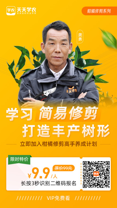 缺少微量元素怎么补充(缺少微量补充元素会怎么样)-硒宝网