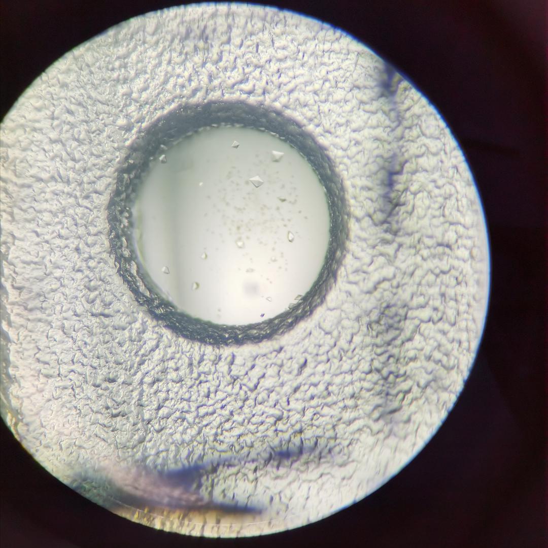 补钠原则(钠的补法)-硒宝网