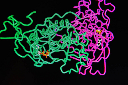 补钠原则(钠的补法)-硒宝网