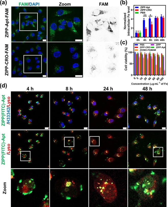 锌硒宝碘蛋白(蛋白锌硒和锌硒宝的区别)-硒宝网