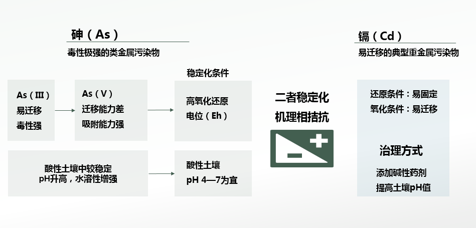 孕期锌硒宝片（锌硒宝片孕妇）-硒宝网