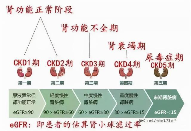 锌硒宝高尿酸（尿酸高可以吃锌硒宝吗）-硒宝网