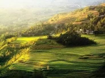 锌硒宝促发育(锌硒宝对孩子长高有用吗)-硒宝网