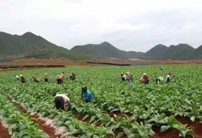 锌硒宝促发育(锌硒宝对孩子长高有用吗)-硒宝网