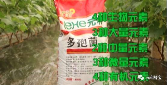 锌硒宝促发育(锌硒宝对孩子长高有用吗)-硒宝网