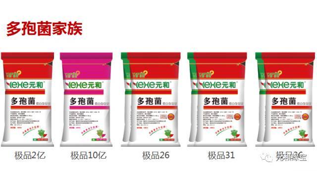 锌硒宝促发育(锌硒宝对孩子长高有用吗)-硒宝网