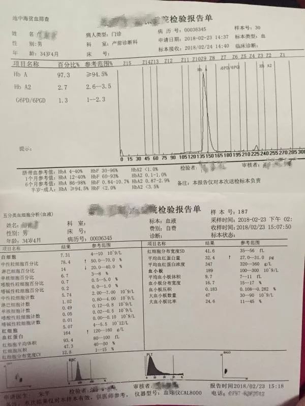 贫血需要补铁吗(贫血补铁需要注意什么)-硒宝网