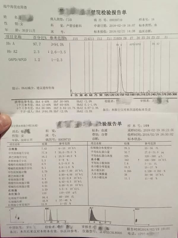 贫血需要补铁吗(贫血补铁需要注意什么)-硒宝网