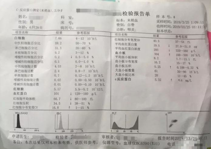 贫血需要补铁吗(贫血补铁需要注意什么)-硒宝网