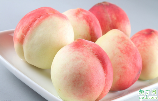 鸡肉补铁吗（鸡肉补铁补血吗）-硒宝网