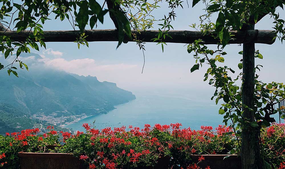 锌硒宝成分表(锌硒宝成分含量)-硒宝网