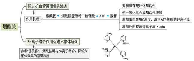 锌硒宝精氨酸（锌硒宝能生精吗）-硒宝网