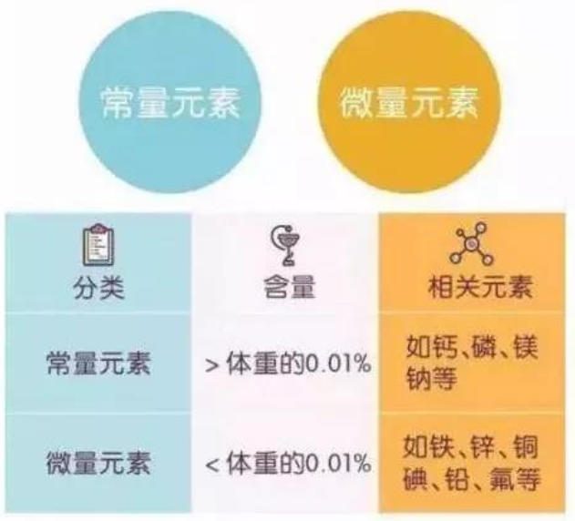 必需微量元素口诀（必需微量元素口诀大全）-硒宝网