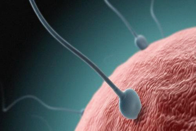 肾虚吃锌硒宝（锌硒补肾吗）-硒宝网