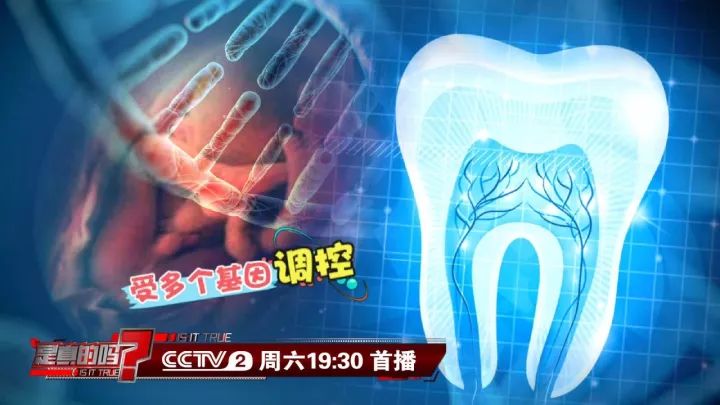 补钙能坚固牙齿吗(坚固牙齿吃什么钙片好)-硒宝网