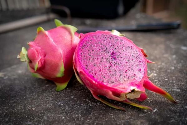 火龙果补铁吗（火龙果铁元素）-硒宝网