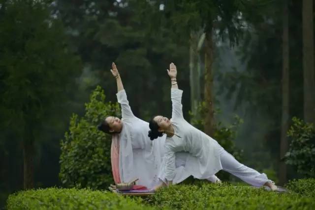 锌硒宝片如何(锌硒宝片有副作用吗)-硒宝网