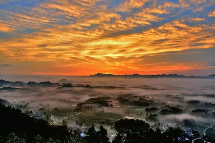 锌硒宝片如何(锌硒宝片有副作用吗)-硒宝网