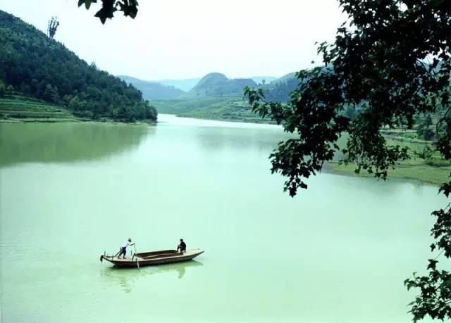 锌硒宝片如何(锌硒宝片有副作用吗)-硒宝网