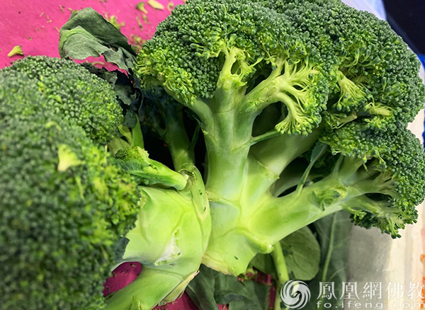 硒锌宝的功效(锌硒宝的功效)-硒宝网